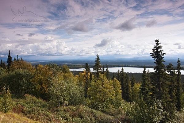 Aljaška, Alaska Range