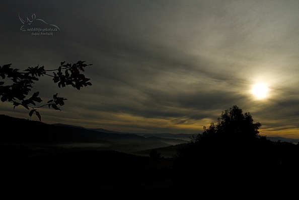 Východ slunce v Bavorském lese