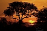 Západ slunce, Satara, Kruger N.P.
