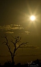 Podvečer v Krugeru