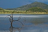 Mankwe Dam před bouřkou, Pilanesberg